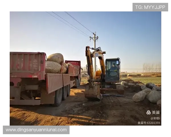 挖掘机植物园景观石吊装堆砌